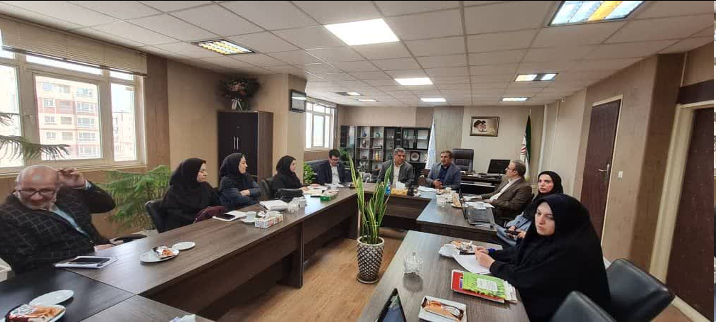 از برگزاری اولین انجمن ادبی و موسیقی بنیاد فرزانگان برنادلان تا اتاق فکر تخصصی "همدان، شهر دوستدار سالمند" / اجرای طرح پژوهشی شهر دوستدار سالمند