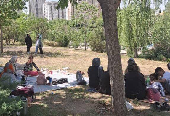 شهر قدس | اردوی تفریحی یکروزه ویژه کودکان دارای معلولیت ذهنی