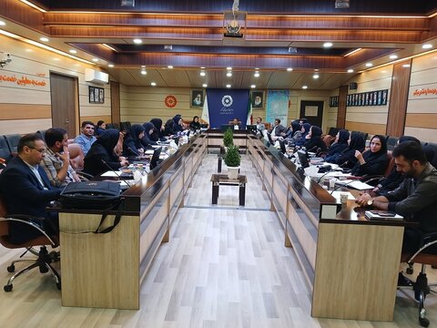 طبقه بندی معلولیت ها تعیین کننده میزان ارائه خدمات  است 