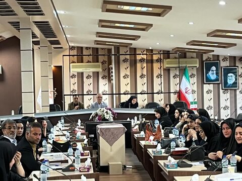 کارگاه آموزشی توانبخشی حرفه‌ای در بهزیستی مازندران برگزار شد 