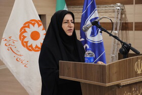 گرامیداشت روز روانشناس و مشاور با تجلیل از تلاشگران ارتقای سلامت روان در اردبیل