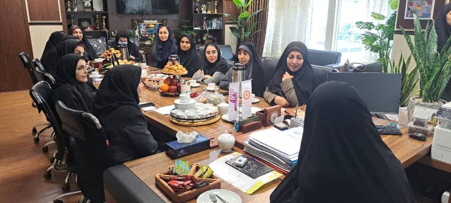 مشاوره امور بانوان مجلس شورای اسلامی از طرح‌های نو و آموزش توانمند سازی حمایت می کند