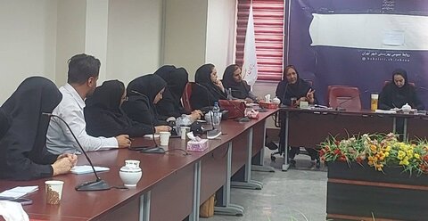 شهرستان تهران| برگزاری نشست تبیین سیاست‌های جدید اشتغال و بیمه در سال جدید