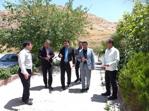 بازدید