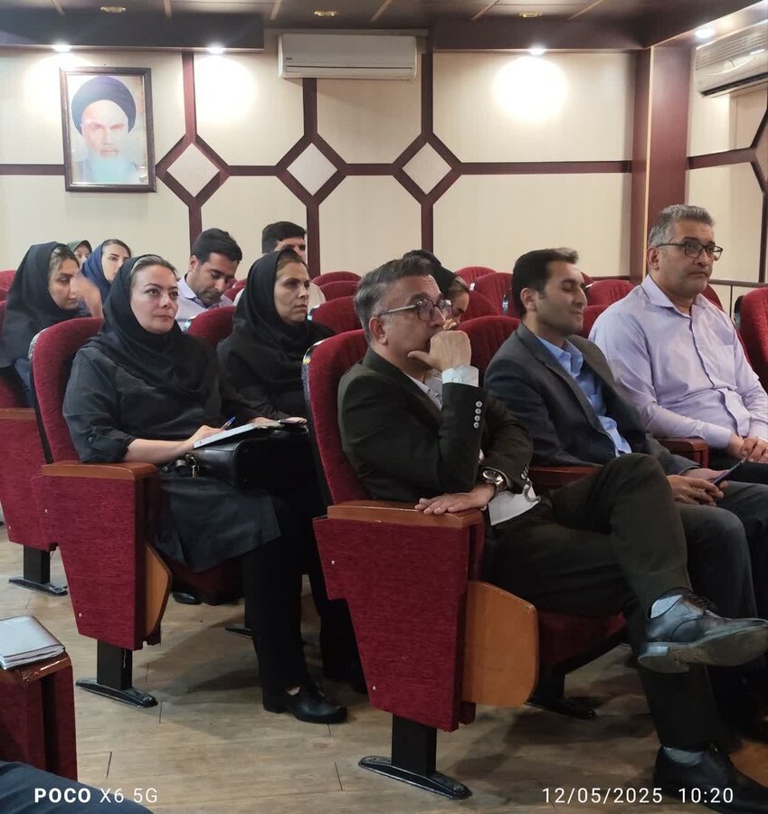 نشست دوم با عنوان از ریشه تا درمان از سلسله نشست های تخصصی با محوریت خودکشی برگزار شد