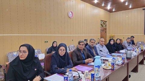 شورای اداری - سیستان