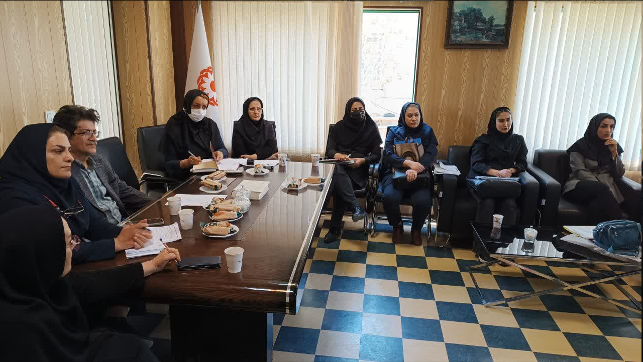 نشست مشترک بهزیستی شهرستان همدان با مراکز روزانه توانبخشی برگزار شد