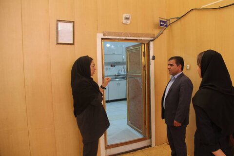 بازدید