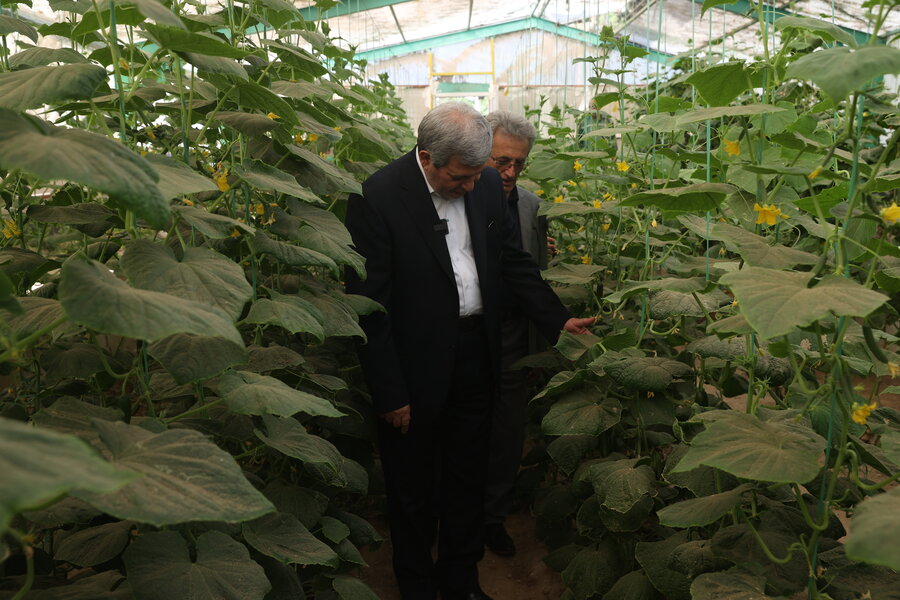 بازدید رئیس سازمان بهزیستی کشور از مرکز سرای احسان بازدید رئیس سازمان بهزیستی کشور از مرکز سرای احسان