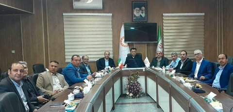 گزارش تصویری/ جلسه ویدئوکنفرانس شورای معاونین وزارت تعاون، کار و رفاه اجتماعی