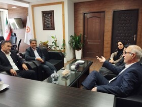 کسب عنوان برتر کشوری برنامه غربالگری شنوایی نوزادان توسط بهزیستی خراسان جنوبی طی سالیان متوالی نتیجه اجرای مطلوب این برنامه در استان است