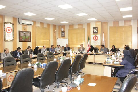 گزارش تصویری|