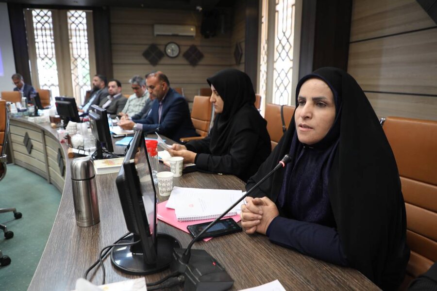 تشکیل دبیرخانه کمیته هماهنگی و نظارت بر اجرای قانون حمایت از افراد دارای معلولیت