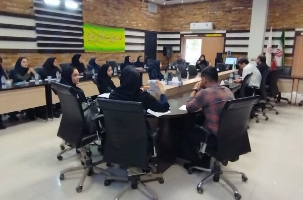 شاهین شهرومیمه| برگزاری کارگاه آموزشی تخصصی کمیسیونهای پزشکی معلولین