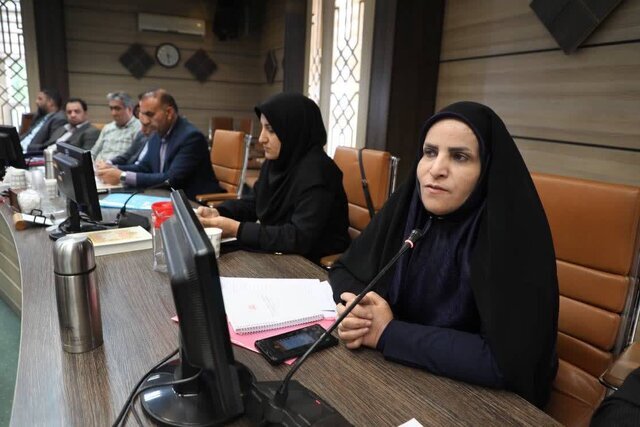 در رسانه| دستگاه‌های اجرایی موظف به انجام قوانین مربوط به معلولین هستند