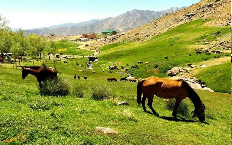 تفاهم‌نامه همکاری سازمان بهزیستی با مجتمع تفریحی-توریستی گنجنامه منعقد شد