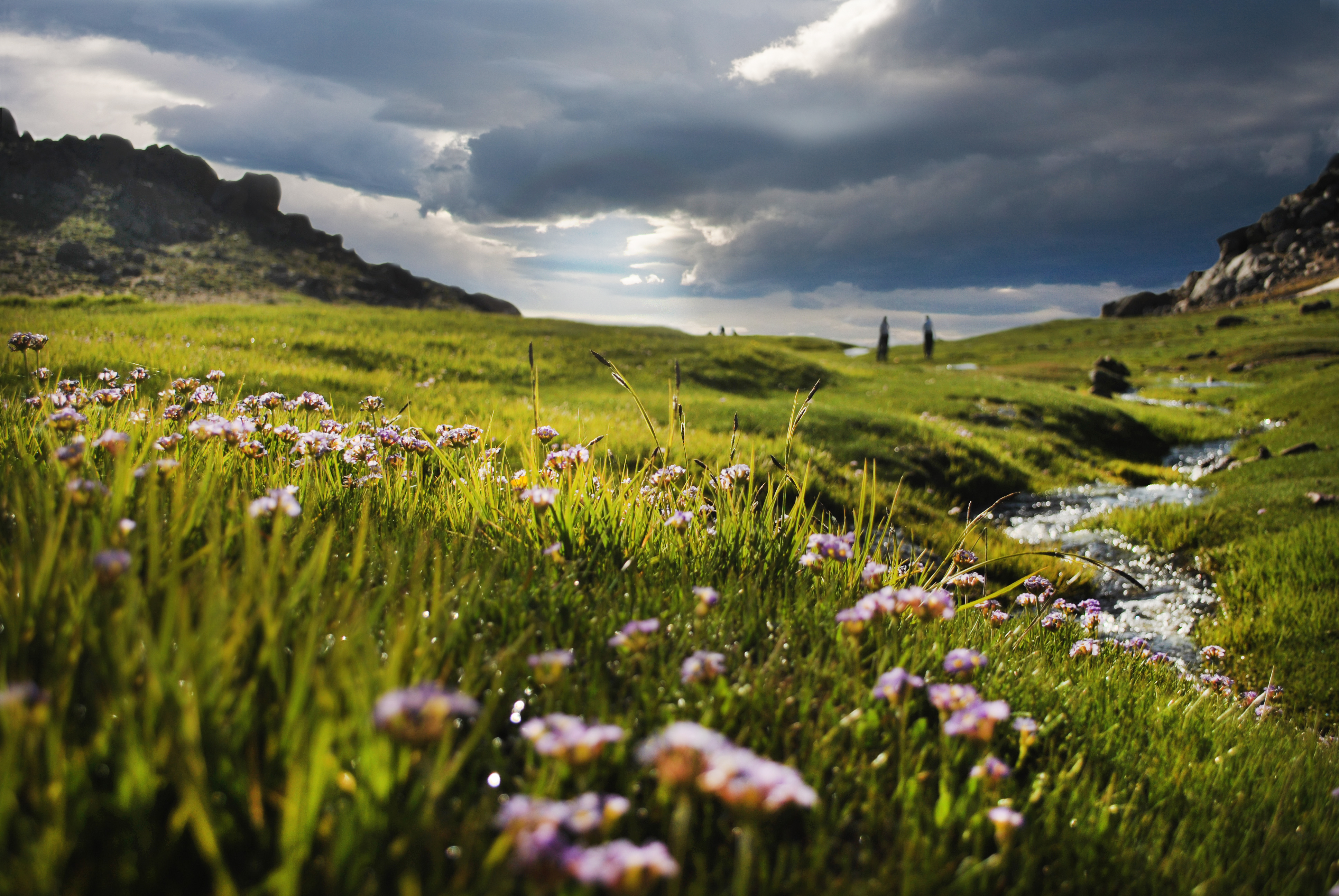 تفاهمنامه همکاری سازمان بهزیستی با مجتمع تفریحی-توریستی گنجنامه منعقد شد