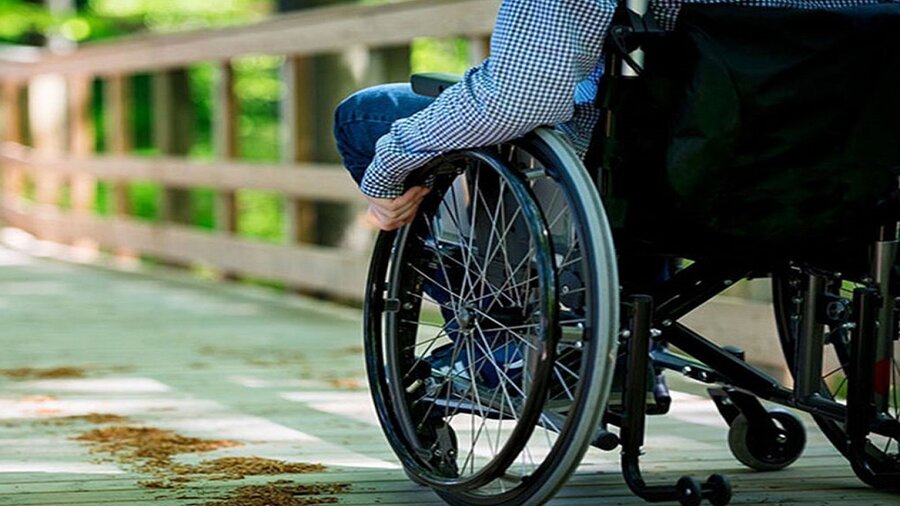 در رسانه / استخدام پنج هزار توانخواه در کشور