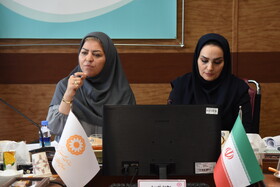 نشست تخصصی دفتر پیشگیری از معلولیت‌ها و معاونت توانبخشی بهزیستی استان تهران برگزار شد