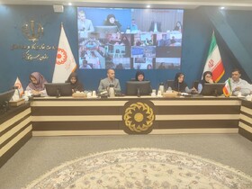 تبیین  بررسی چالش ها و راهکارهای دستورالعمل پرداخت کمک‌هزینه وسایل کمک‌ توانبخشی