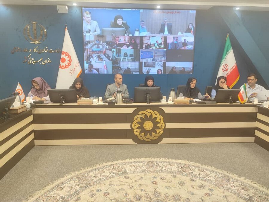 تبیین  بررسی چالش ها و راهکارهای دستورالعمل پرداخت کمک‌هزینه وسایل کمک‌ توانبخشی 