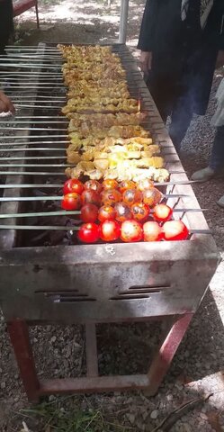 اردو تفریحی بانوان سرپرست خانوار بهزیستی شهرستان طالقان