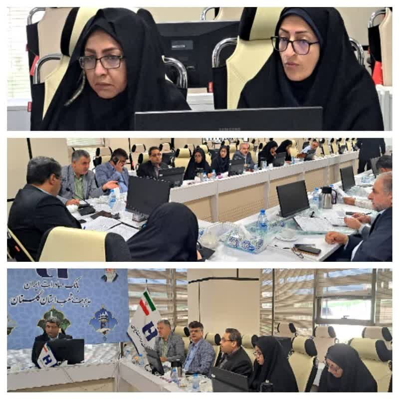 بررسی مشکلات پرداخت تسهیلات اشتغالزایی خانواده‌های تحت پوشش بهزیستی گلستان در بانک صادرات