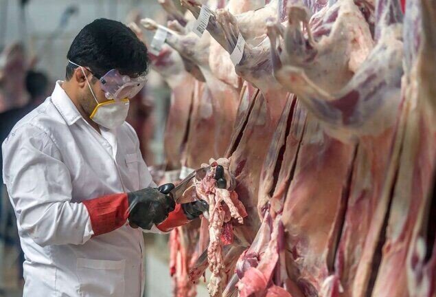 ذبح شرعی و بهداشتی دام برای مددجویان در عید قربان با مشارکت خیرین و نهادهای مرتبط