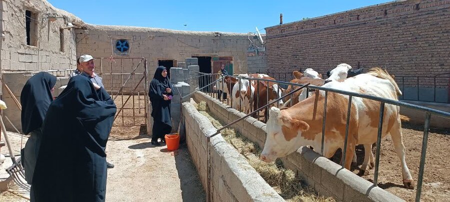 بازدید رئیس بهزیستی شاهین دژ از طرح های اشتغالزایی شهرستان