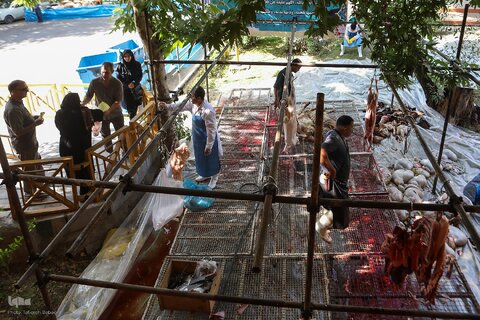 ذبح بهداشتی قربانی در شیرخوارگاه آمنه برای نیازمندان