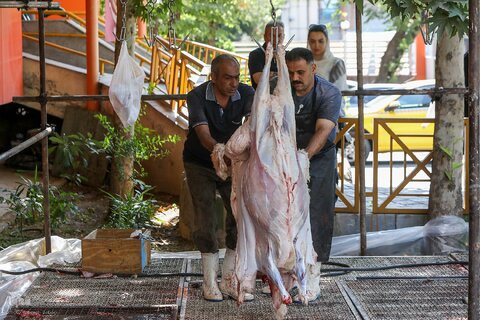 ذبح بهداشتی قربانی در شیرخوارگاه آمنه برای نیازمندان