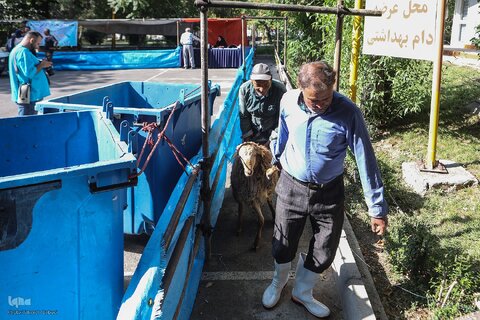 ذبح بهداشتی قربانی در شیرخوارگاه آمنه برای نیازمندان