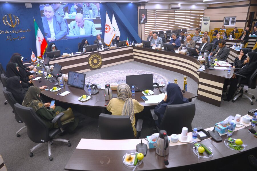 ۵۴ درصد مشاغل ایجاد شده در سازمان بهزیستی برای زنان است/ ۳۸ درصد افراد دارای معلولیت تحت پوشش بهزیستی زنان هستند