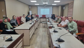 جلسه توجیهی اپتومتریستهای اجرای برنامه پیشگیری از طرح تنبلی چشم برگزار شد