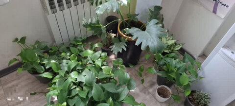 کرج | دوره آموزشی مددجویان تحت نظارت بهزیستی شهرستان کرج برگزار شد