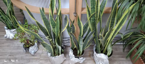 کرج | دوره آموزشی مددجویان تحت نظارت بهزیستی شهرستان کرج برگزار شد