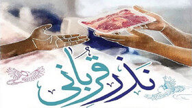 توزیع بیش از 5 تن گوشت قربانی بین مراکز و مددجویان بهزیستی قم