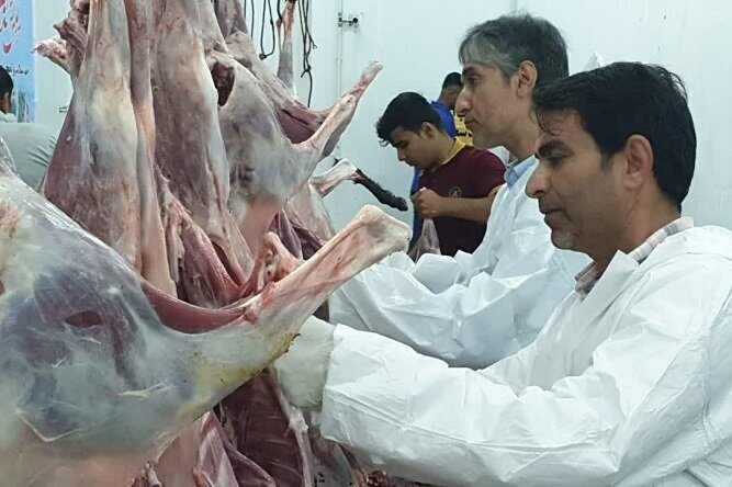 در رسانه| ۹۵۰۰ کیلوگرم گوشت قربانی بین مددجویان بهزیستی مازندران توزیع شد
