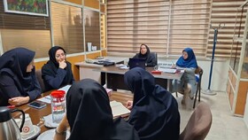 سه راهبرد اساسی در حوزه مراکز توانبخشی مراقبتی تشریح شد