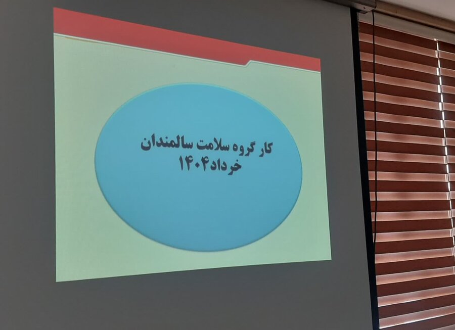شورای سالمندان
