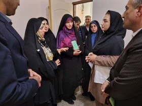 معاون رئیس جمهور در امور زنان و خانواده از مرکز اورژانس اجتماعی ملکشاهی بازدید کرد
