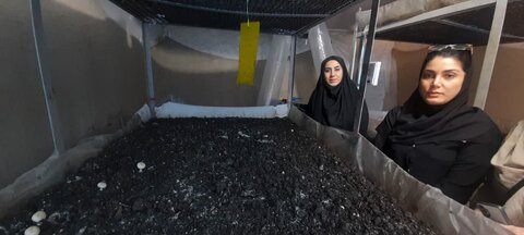 بازدید  از طرح اشتغال زایی تولید قارچ در شهرستان چهارباغ