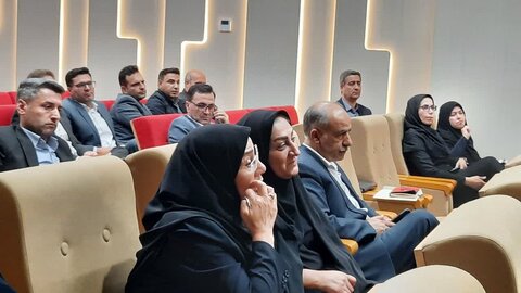 افزایش ۶۲ درصدی بیمه خویشفرمایی و جبران کارایی در سال گذشته