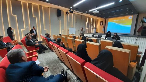 افزایش ۶۲ درصدی بیمه خویشفرمایی و جبران کارایی در سال گذشته