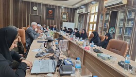 حضور اعضای شورای معاونین بهزیستی گیلان در جلسه مجازی ،مدیریت بحران بهزیستی کشور
