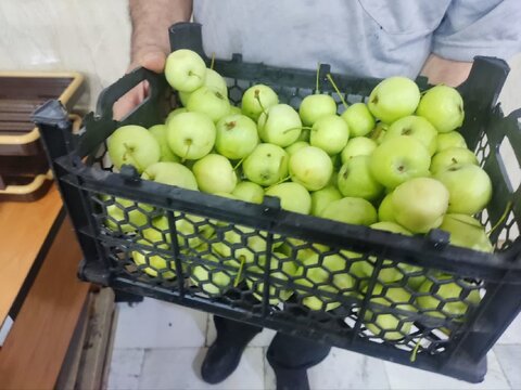 توزیع غذای نذری به مناسبت عید سعید غدیر خم در مجتمع خیریه آموزشی توانبخشی رعد کرج