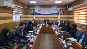 برگزاری کمیته پدافند غیرعامل در بهزیستی استان