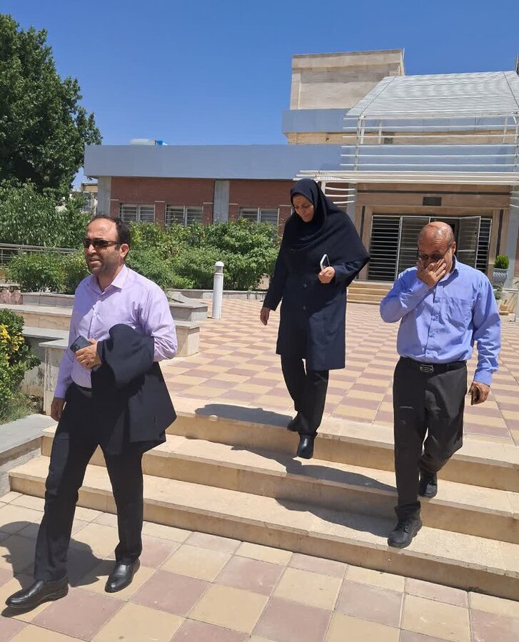 بازدید