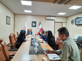 بررسی  چالش‌های ساماندهی کودکان کار و خیابان در استان