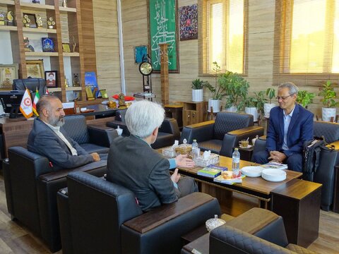 نشست مدیرکل بهزیستی فارس با عضو هیات علمی دانشگاه علوم توانبخشی و سلامت اجتماعی تهران